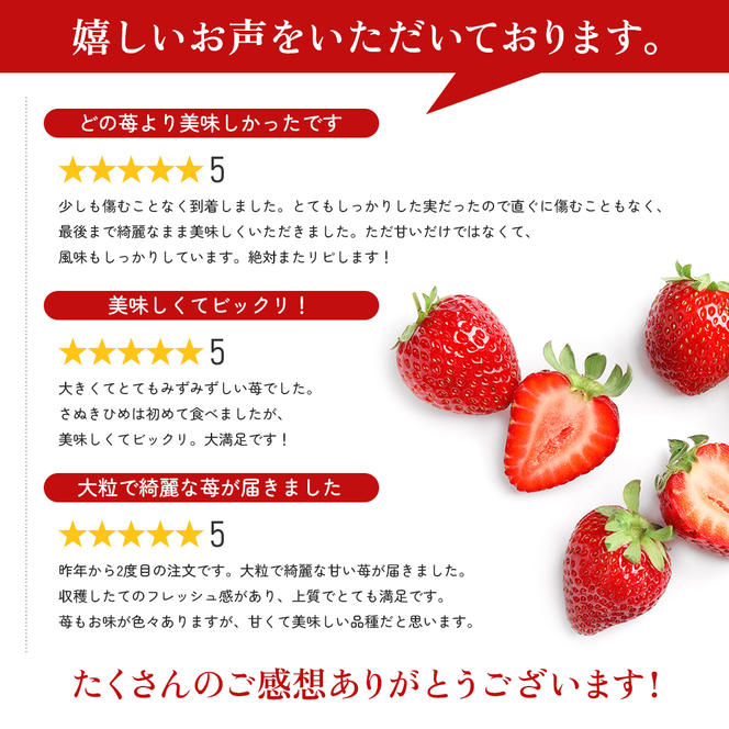 いちご 香川県オリジナル品種 さぬきひめ 1kg 香川県産 苺 イチゴ フルーツ 果物 くだもの 旬のフルーツ 旬の果物 大粒 採れたて 冷蔵 香川 香川県 東かがわ市