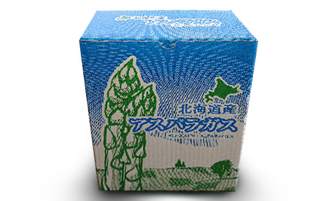 2025年先行予約 南ふらの産 グリーン アスパラ 1.5kg (M・L混合) 北海道 南富良野町 アスパラ アスパラガス 野菜 ふらの 2025年発送 先行予約