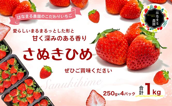 いちご はなまる農園 こだわりいちご さぬきひめ 1kg 香川県産 苺 イチゴ フルーツ 果物 くだもの 旬のフルーツ 旬の果物 香川 香川県 東かがわ市