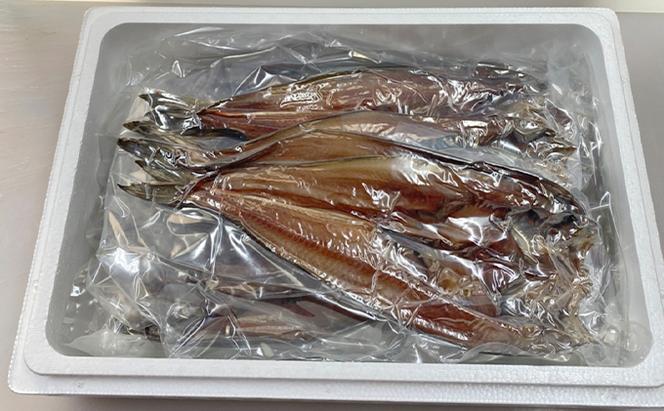 ほっけ 北海道留萌産 ほっけの開き 10枚 ホッケ 魚 干物 ひもの ホッケの開き 魚介 魚介類 海鮮 北海道 留萌