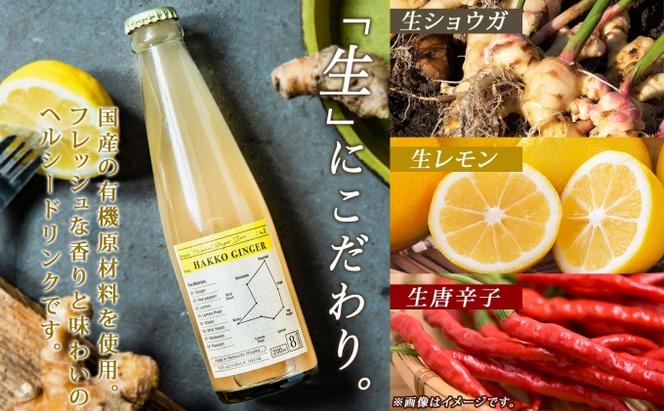 北海道 自家製 ジンジャービア 200ml×12本 HAKKO GINGER 発酵 ジンジャー ビール 生姜 レモン 辛口 ノンアルコール 炭酸 ヘルシー