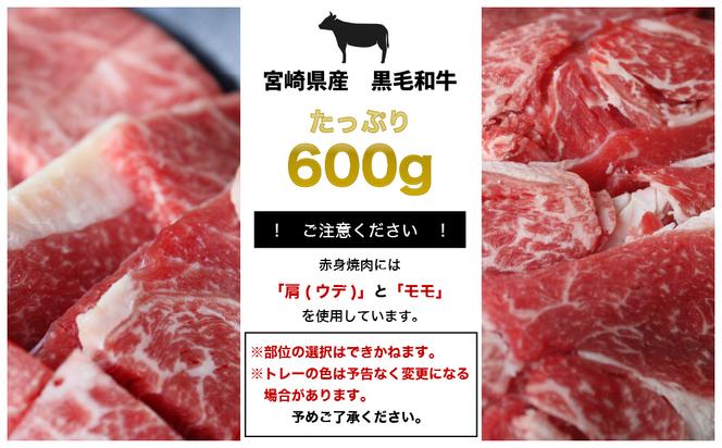 宮崎県産黒毛和牛焼肉・スライスセット合計600g