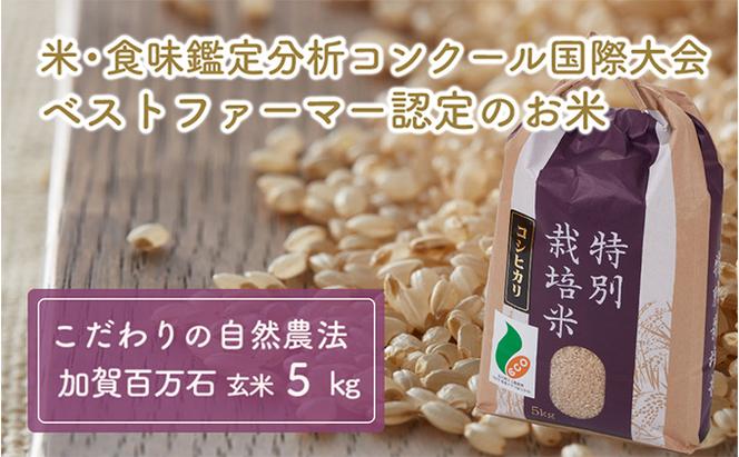  加賀百万石特別栽培米コシヒカリ玄米5kg