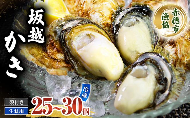  牡蠣 坂越かき 生食用 殻付き (25個～30個) 牡蠣ナイフ付き 冬牡蠣 かき カキ