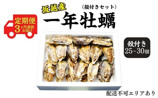  定期便 牡蠣 坂越かき 生食用 殻付き (25個～30個)牡蠣ナイフ付き【12月～2月(3ヶ月連続)お届け】 冬牡蠣 かき カキ