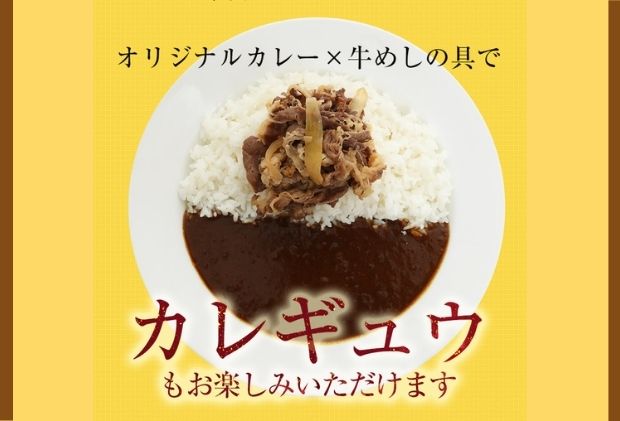 松屋 牛めし 豚めし カレー 20個 セット 冷凍 カレー 牛丼 豚丼