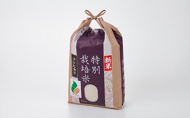  加賀百万石特別栽培米コシヒカリ白米10kg
