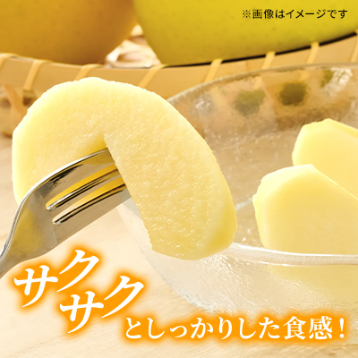 信州小諸産 シナノゴールド 家庭用 約10kg 長野県産 果物類 林檎 りんご リンゴ