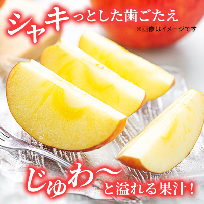 信州小諸産 シナノスイート 家庭用 約10kg 長野県産 果物類 林檎 りんご リンゴ