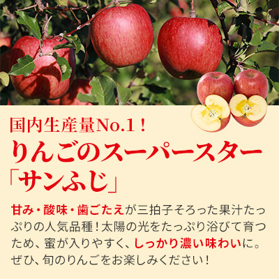 信州小諸産 サンふじりんご 秀品 約5kg 長野県産 果物類 林檎 りんご リンゴ