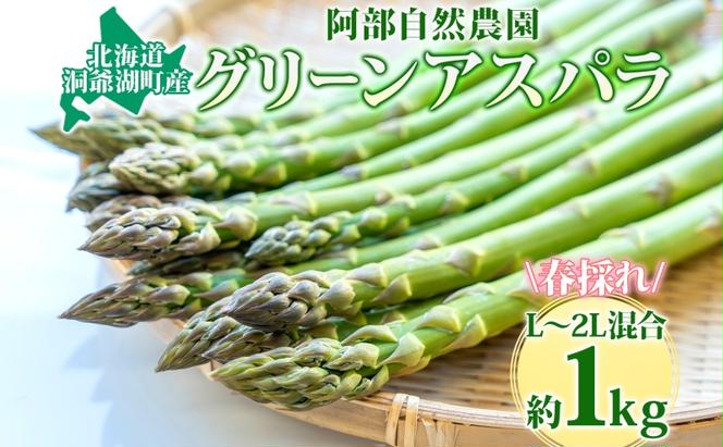 北海道 洞爺湖町産 グリーンアスパラ 約1kg L～2L混合 5月下旬頃お届け 先行受付 旬 アスパラ アスパラガス 野菜 農作物 サラダ 天ぷら 新鮮 国産 人気 お取寄せ 産地直送 冷蔵 送料無料 洞爺湖