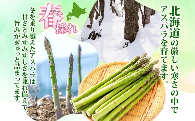 北海道 洞爺湖町産 グリーンアスパラ 約1kg L～2L混合 5月下旬頃お届け 先行受付 旬 アスパラ アスパラガス 野菜 農作物 サラダ 天ぷら 新鮮 国産 人気 お取寄せ 産地直送 冷蔵 送料無料 洞爺湖