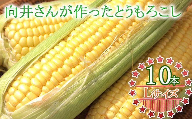 向井さんが作ったとうもろこし［Lサイズ10本］※8月下旬より順次出荷 野菜 