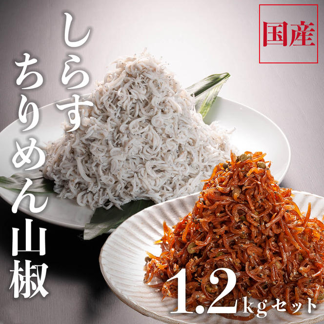 しらす 1kg ちりめん山椒 100g しらす佃煮 100g セット しらす干し 釜揚げしらす ちりめん山椒 しらす佃煮 国産 魚介類