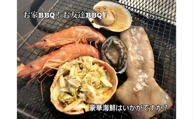 バーベキュー 豪華特盛 海の幸 BBQ セット 6種22品 2.5kg 海鮮セット 大人気