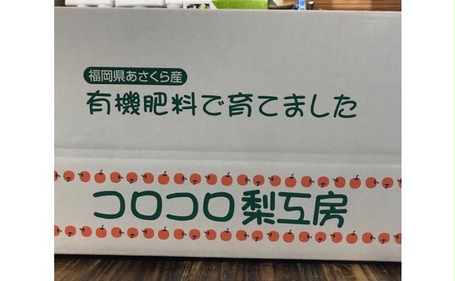 梨 新高梨 甘熟 味に自信あり！！約5kg 5～10玉入 配送不可 離島