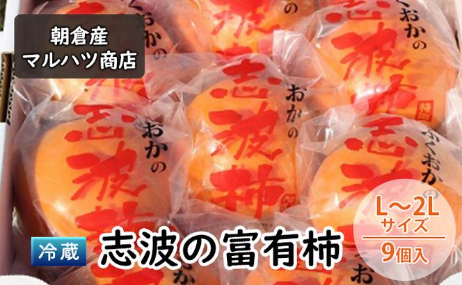 柿 冷蔵 志波の富有柿 L～2Lサイズ×9個入 マルハツ商店 配送不可：離島