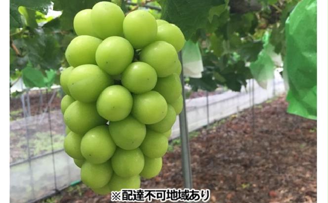 ひらた農園 岡山県産 シャインマスカット 約2kg（3～4房） 果物類 ぶどう フルーツ ブドウ 果物 