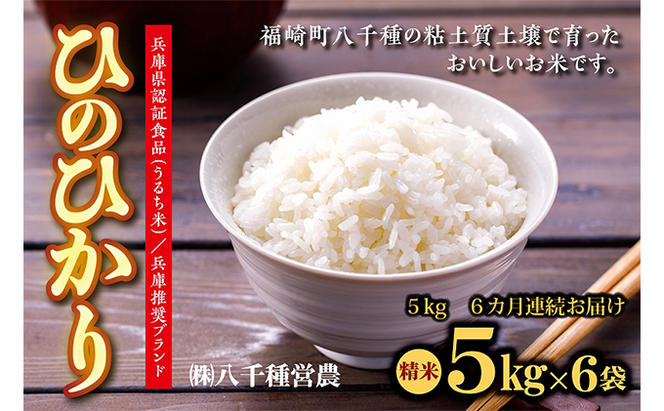 【定期便】兵庫県福崎町産 ひのひかり 八千種米5kg×6回 精米/６ヶ月連続お届け/兵庫県認証食品（うるち米）兵庫推奨ブランド