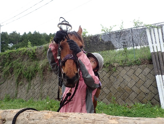 4級乗馬ライセンス取得コース