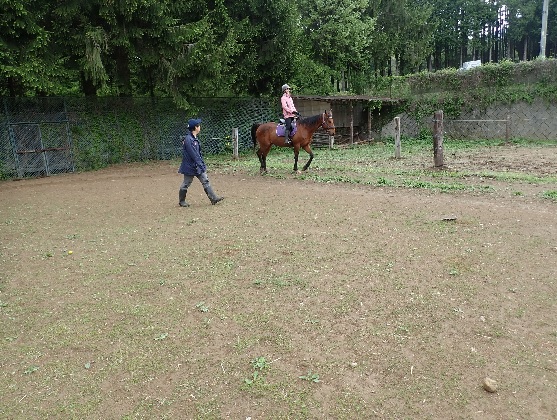 4級乗馬ライセンス取得コース