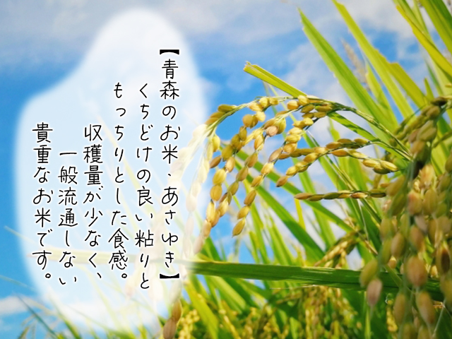 新米 定期便 3ヶ月 令和6年産 あさゆき 白米 5kg 1袋 米 精米 こめ お米 おこめ コメ ご飯 ごはん 令和6年 H.GREENWORK 3回 お楽しみ 青森 青森県