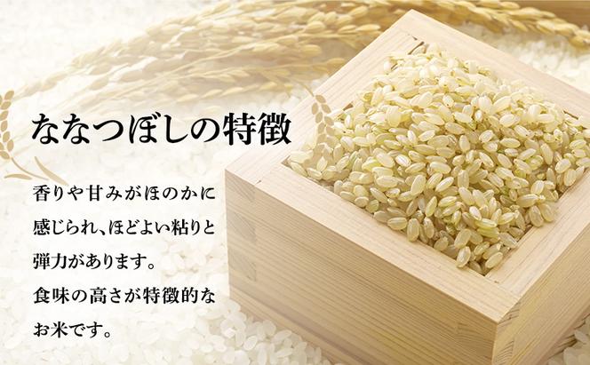 玄米 定期便 6ヶ月 北海道南るもい産 ななつぼし 5kg 米 お米 おこめ こめ コメ ご飯 ごはん 6回 半年 お楽しみ 北海道 留萌
