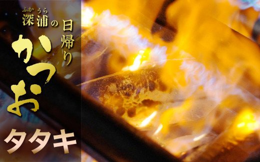 深浦の日帰りカツオ　タタキ・刺身食べくらべセット　計２Ｐ