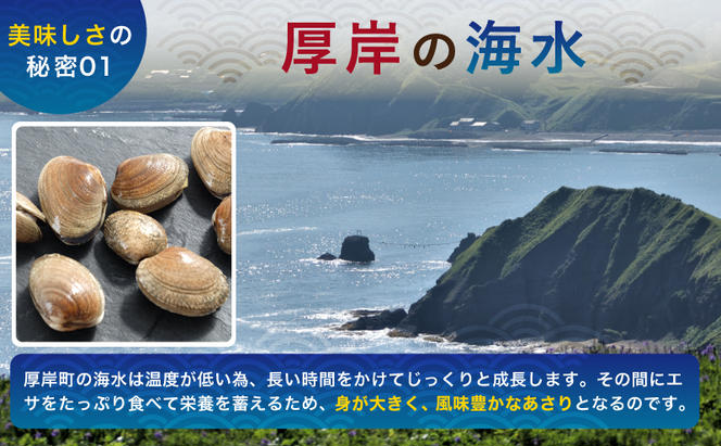 12月21日入金年内配送 あさり 簡単 お手軽 北海道 厚岸産 ボイル 冷凍 あさり 250g ×5パック (合計約1,250g)