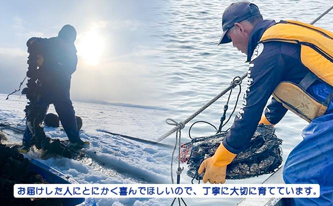 【国内消費拡大求む】 北海道 サロマ湖産 わたゆき牡蠣（ むき身 ）1kg 生食 カキ 牡蠣 かき 海鮮 魚介 国産 生牡蠣 冷蔵 産地直送 オホーツク