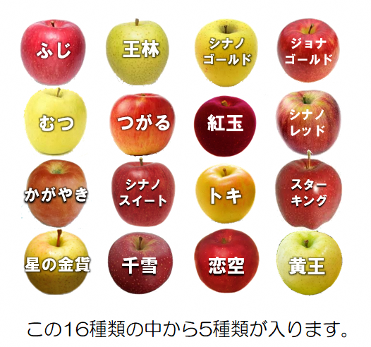 青森県産 農家が干したリンゴ ひとくちサイズ 品種おまかせ 5袋セット 40g×5種