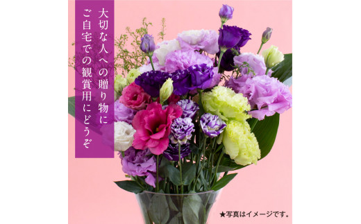 《先行予約》芸西村特産 トルコギキョウ花束（約15本程度の花束）