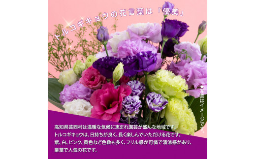 《先行予約》芸西村特産 トルコギキョウ花束（約20本程度の花束）