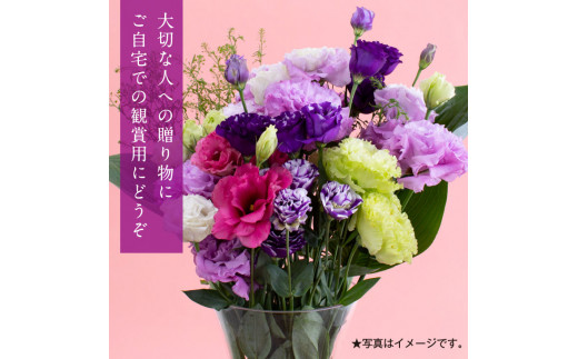 《先行予約》芸西村特産 トルコギキョウ花束（約20本程度の花束）