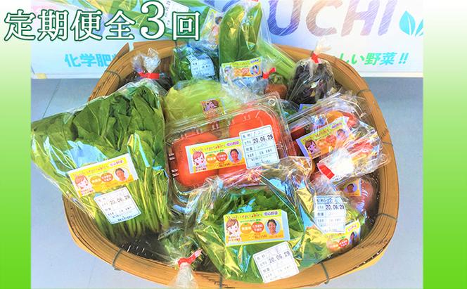 『定期便』【栽培期間中化学肥料・農薬不使用】季節野菜の詰め合わせ全3回