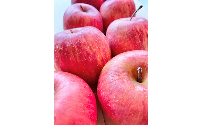 信州シナノスイート 約3kg 松澤農園 果物類 林檎 りんご リンゴ