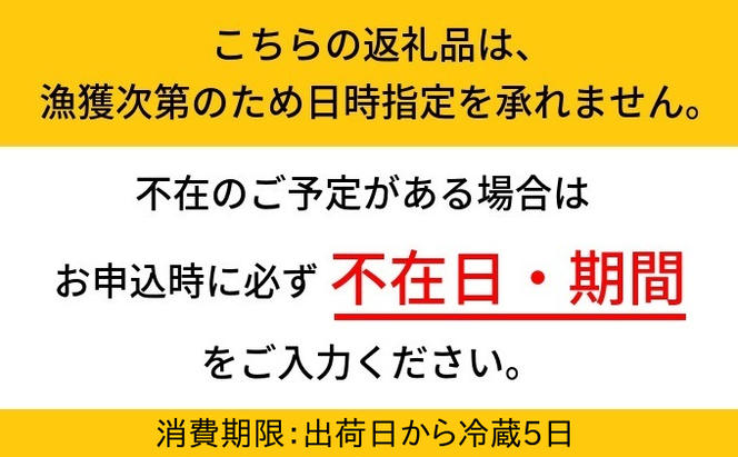 【2025年3月中旬以降発送】富山産ボイルホタルイカ360g（120g×3）