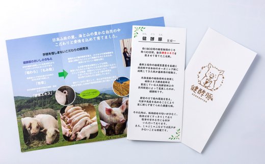 北海道 健酵豚 豚ジンギスカン 計 3kg (500g×6パック) 