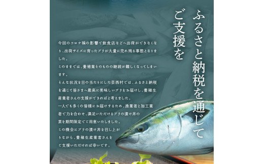 KYF119　海鮮「ブリの漬け丼の素」1食80g×5P＋「マグロの漬け丼の素」1食80g×5P《迷子のブリを食べて応援 養殖生産業者応援プロジェクト》応援 順次出荷中 惣菜 冷凍 保存食 小分け 高知 海鮮丼 一人暮らし〈高知市共通返礼品〉