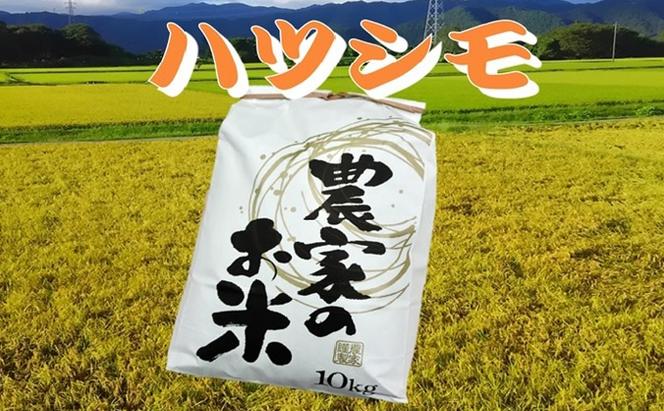 池田町農家　令和5年産特別栽培米ハツシモ　10kg　白米