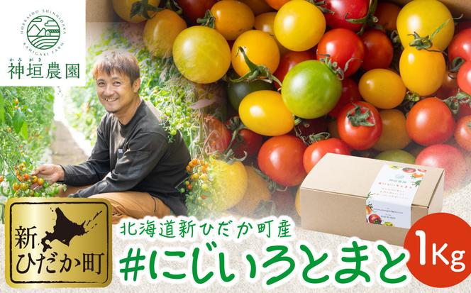 ＜ 2024年8月上旬より発送 ＞ 北海道産 カラフルトマト ミニトマト 1kg  ＃にじいろとまと ＜ 予約商品 ＞