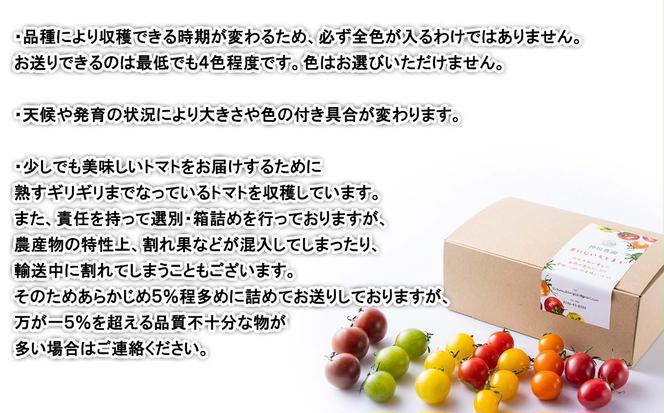 ＜ 2024年8月上旬より発送 ＞ 北海道産 カラフルトマト ミニトマト 1kg  ＃にじいろとまと ＜ 予約商品 ＞