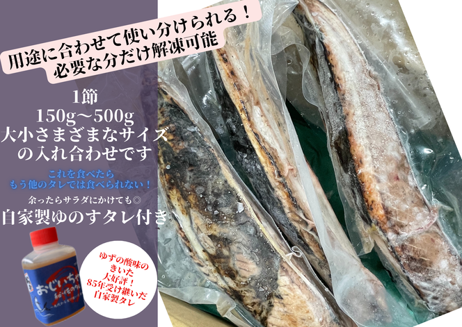 【四国一小さなまち】 ≪期間・数量限定≫  ★訳あり★  高知県産カツオのわら焼きタタキ（自家製タレ付）１ｋｇ