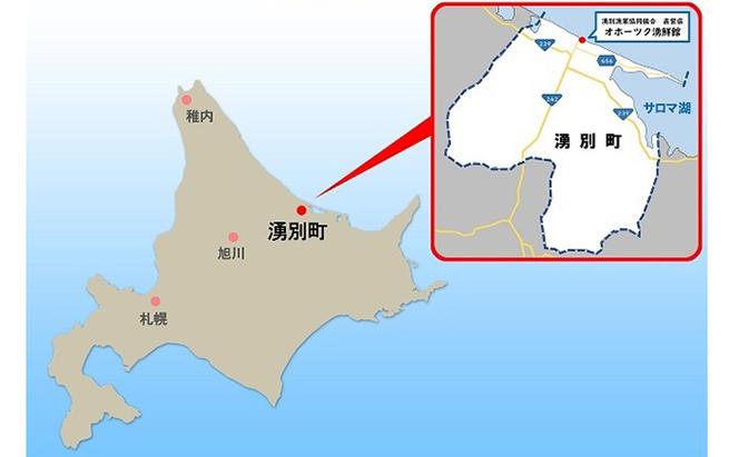 【国内消費拡大求む】 先行予約 北海道 サロマ湖産 龍宮牡蠣 10kg（ 2年物 殻付き カキ ）カキナイフ付 牡蠣 かき 海鮮 魚介 国産 貝付き 生牡蠣 生食 焼き牡蠣 蒸し牡蠣 冷蔵 産地直送 オホーツク